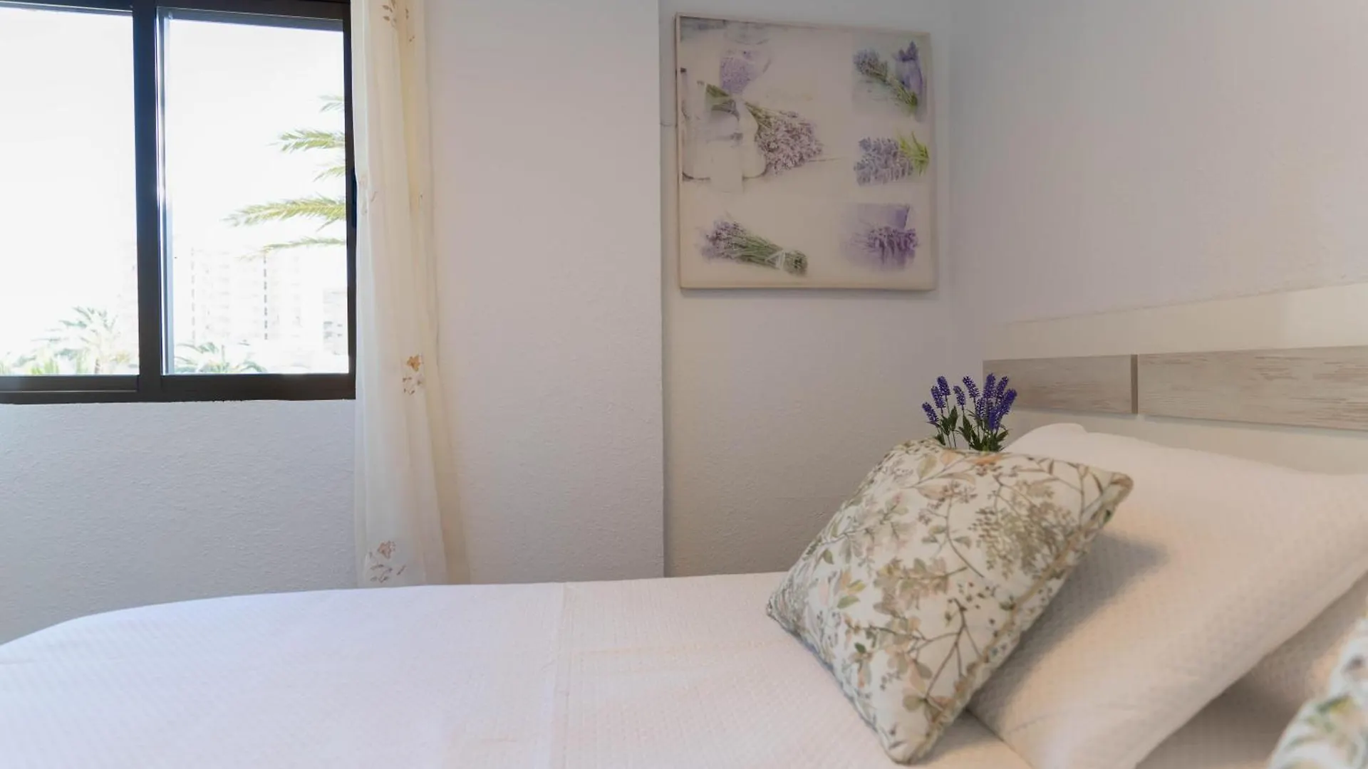 Apartamento Gaviotas II R&R Roquetas de Mar Spain